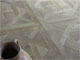 Parquet d'Aremberg